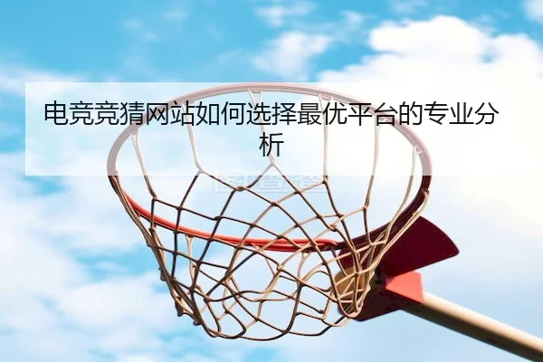 电竞竞猜网站如何选择最优平台的专业分析（JS ESPORTS）